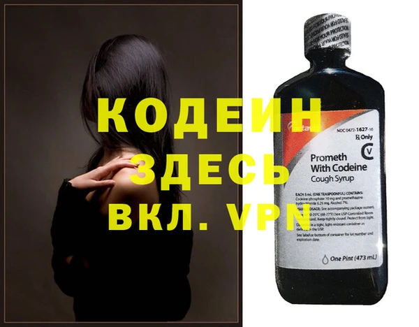 хмурый Абаза