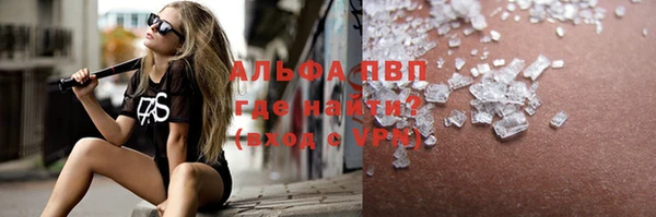 хмурый Абаза