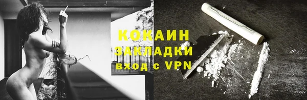хмурый Абаза