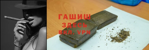 хмурый Абаза