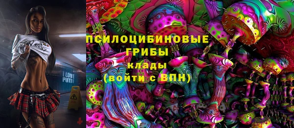 альфа пвп Семикаракорск