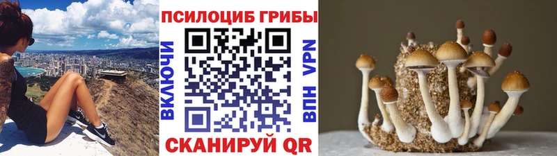 Галлюциногенные грибы MAGIC MUSHROOMS  mega ТОР  Азов  наркота 