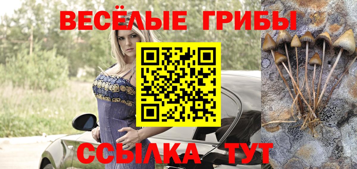 Азов  Галлюциногенные грибы мицелий  Псилоцибиновые грибы мухоморы  сколько стоит  Вход с VPN 