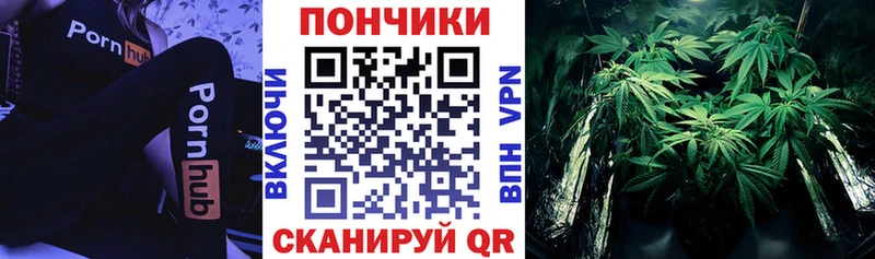 Бошки Шишки семена  omg tor  Азов 